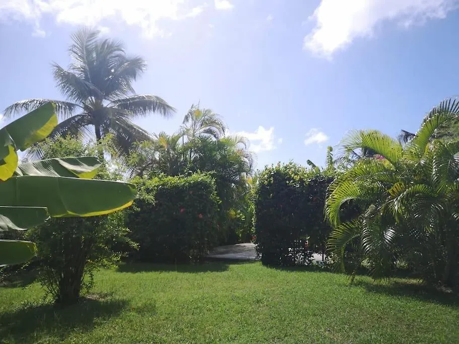 Reve Grenadine Plage 200M Jardin & Terrasse Saint-Francois  0*, Saint-Francois (Grande-Terre)